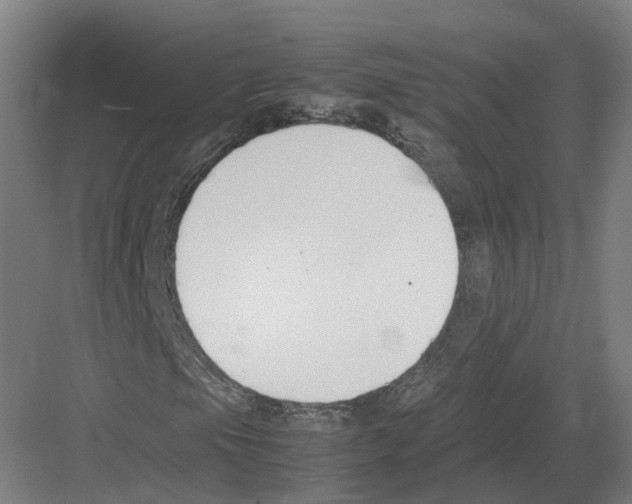 X0000082151105200702162201