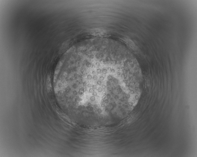 X0000082151106200702162201