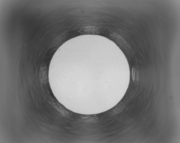 X0000082151107200702162201