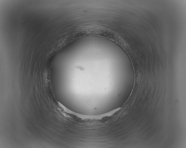 X0000082151108200702162201