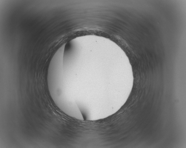 X0000082151110200702162201