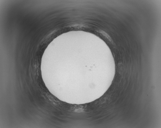 X0000082151111200702162201