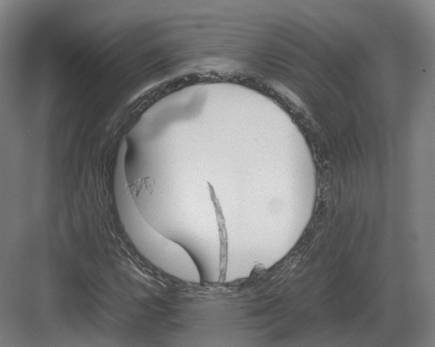 X0000082151112200702162201