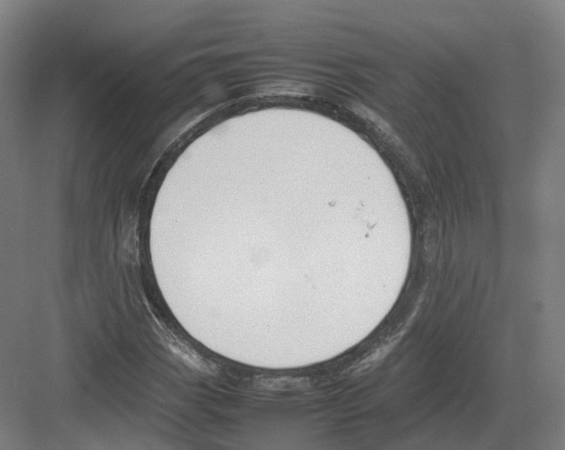 X0000082151113200702162201