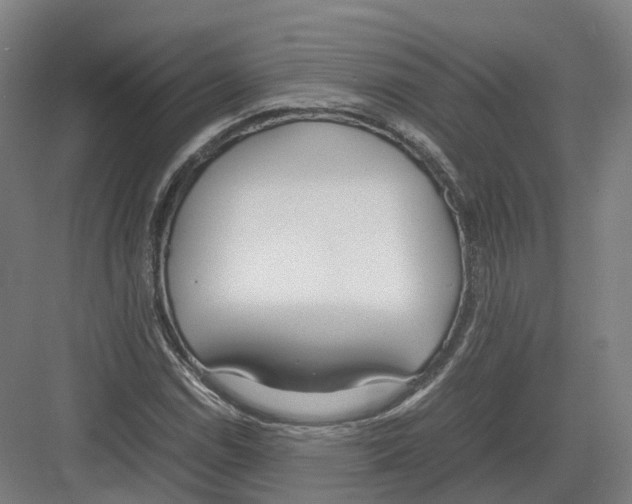 X0000082151114200702162201