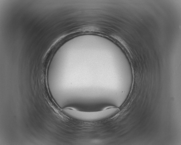 X0000082151115200702162201