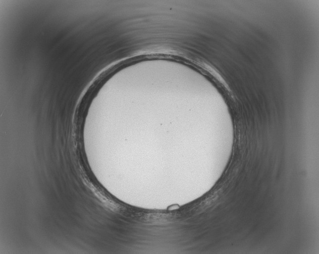 X0000082151116200702162201