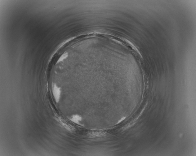 X0000082151117200702162201