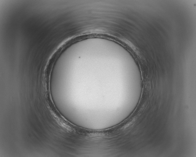 X0000082151118200702162201