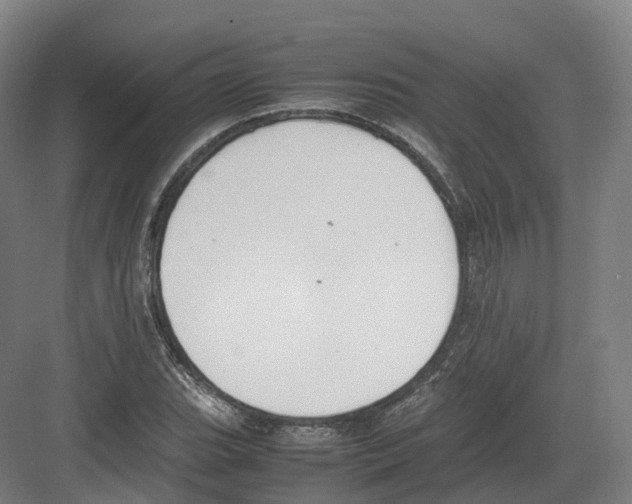 X0000082151119200702162201