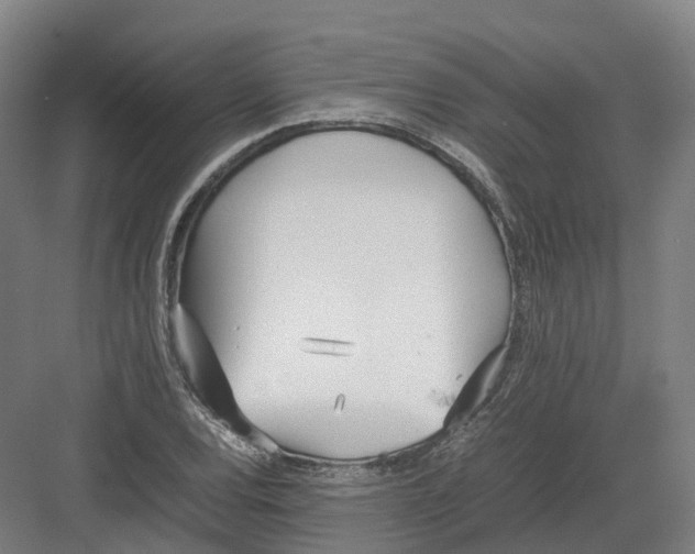 X0000082151120200702162201