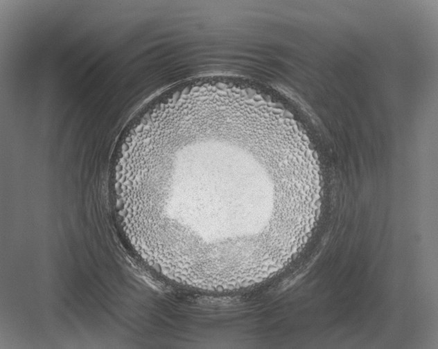 X0000082151121200702162201