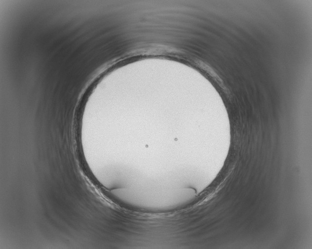 X0000082151122200702162201