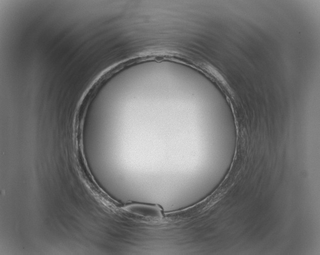 X0000082151124200702162201