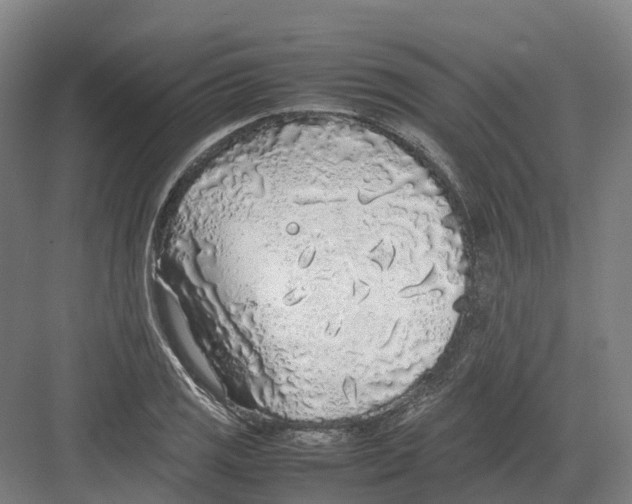 X0000082151125200702162201