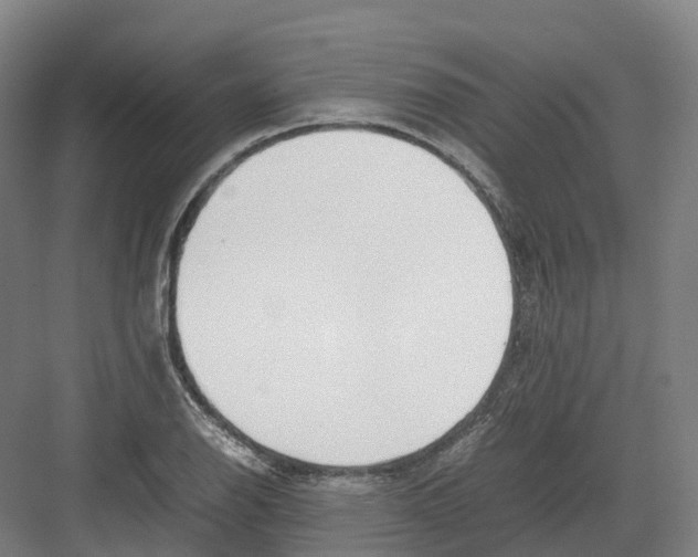 X0000082151126200702162201