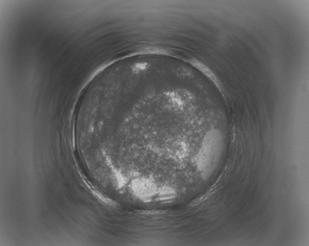 X0000082151127200702162201