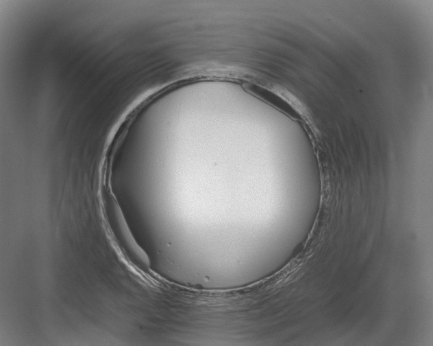 X0000082151128200702162201