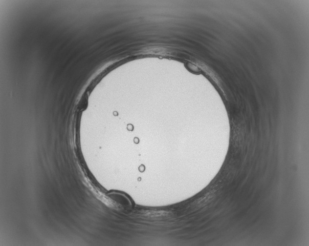 X0000082151131200702162201