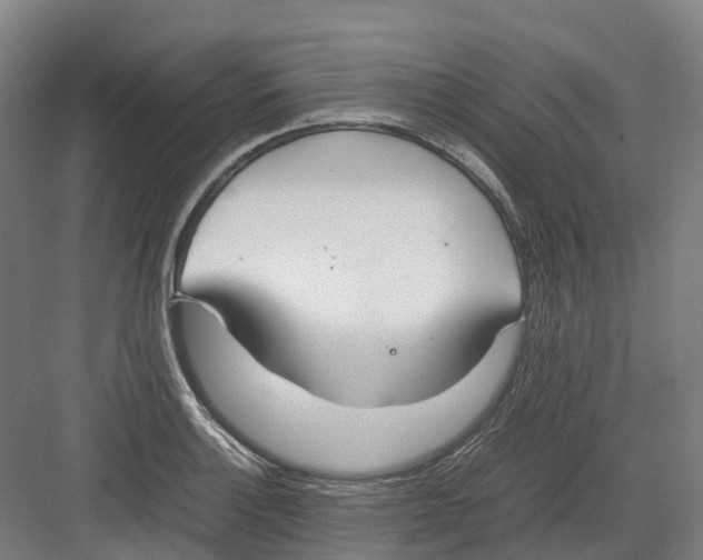 X0000082151132200702162201