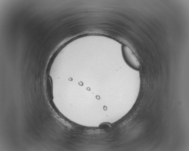 X0000082151133200702162201