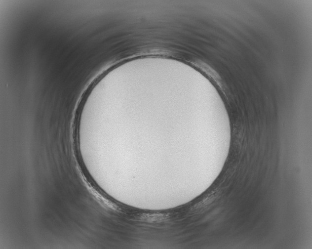 X0000082151135200702162202