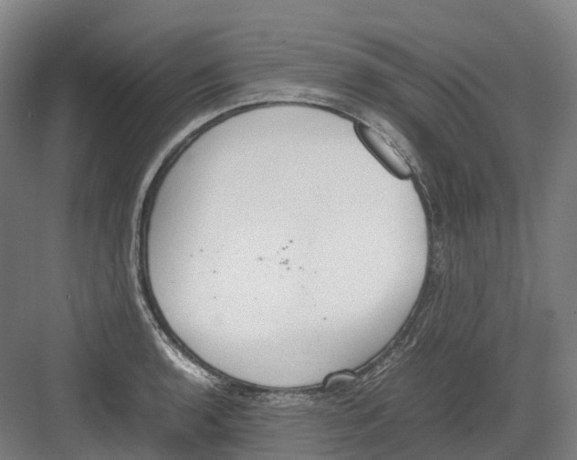 X0000082151136200702162202