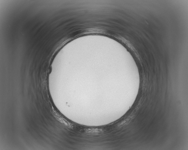 X0000082151137200702162202