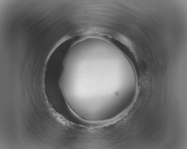 X0000082151138200702162202