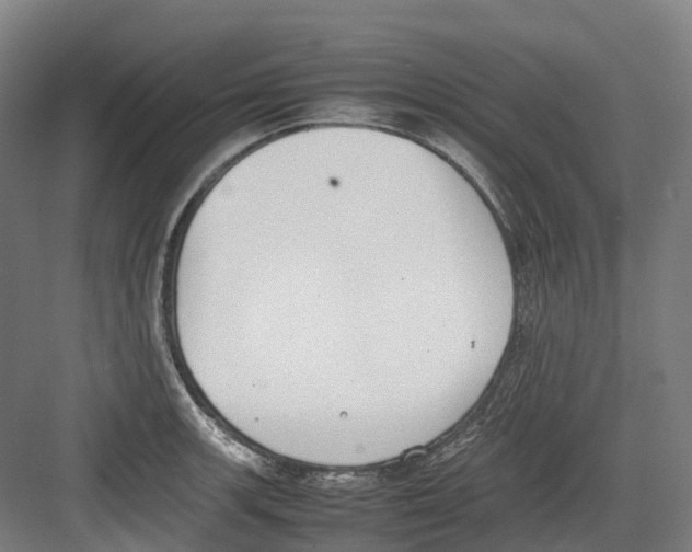 X0000082151139200702162202