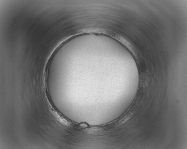 X0000082151140200702162202