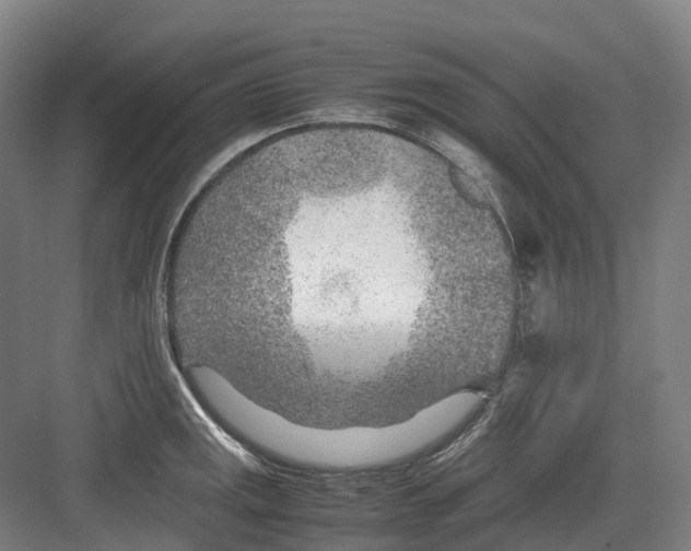 X0000082151141200702162202