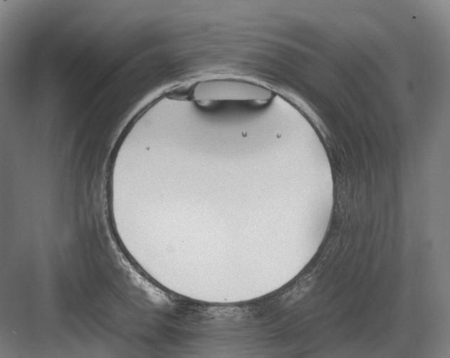 X0000082151142200702162202