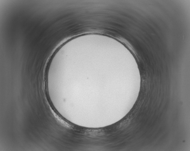 X0000082151143200702162202