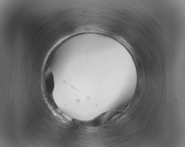 X0000082151144200702162202