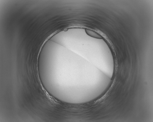 X0000082151145200702162202