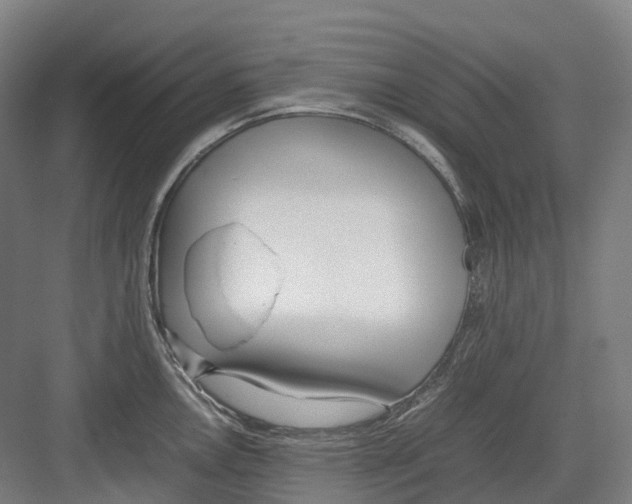 X0000082151146200702162202