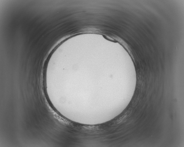 X0000082151147200702162202