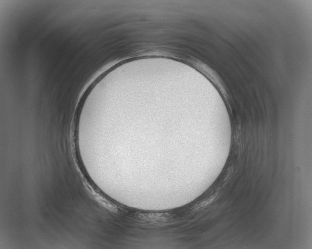 X0000082151149200702162202