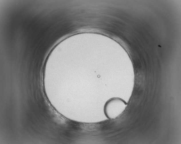 X0000082151150200702162202