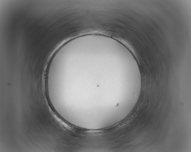 X0000082151151200702162202