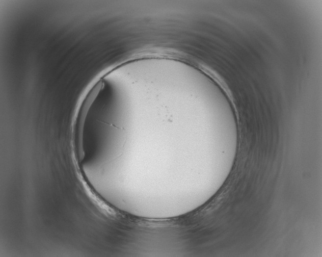 X0000082151152200702162202