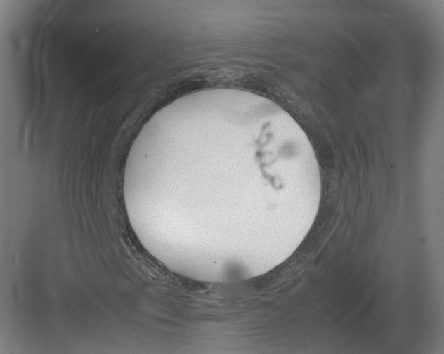 X0000082151153200702162201