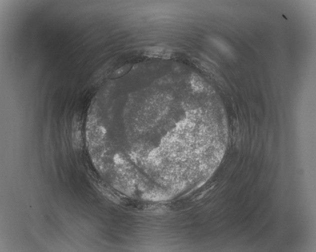 X0000082151154200702162201