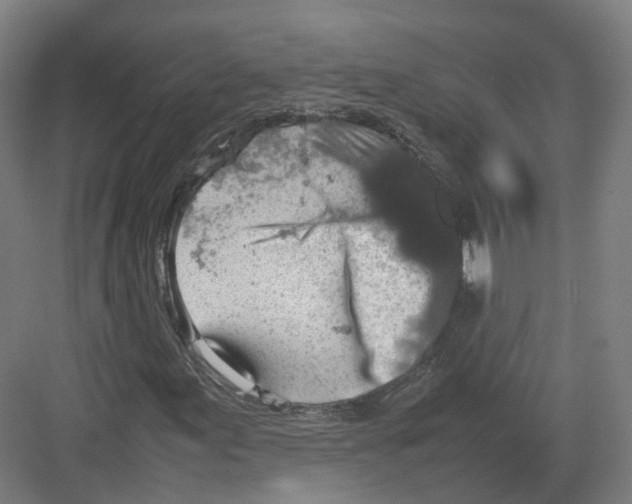 X0000082151155200702162201