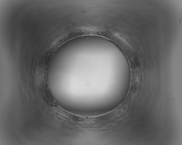 X0000082151157200702162201