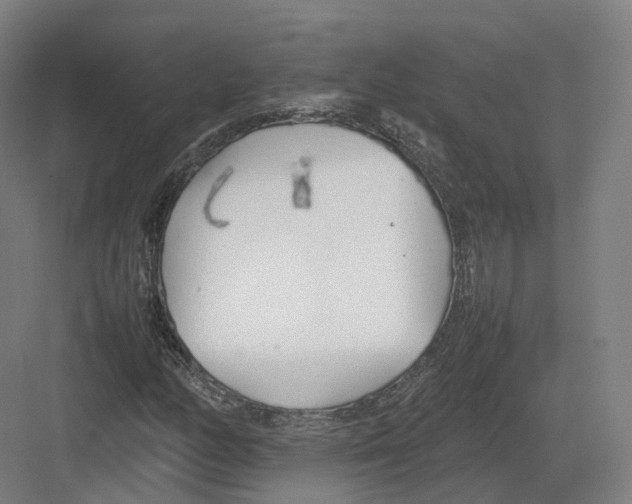 X0000082151158200702162201