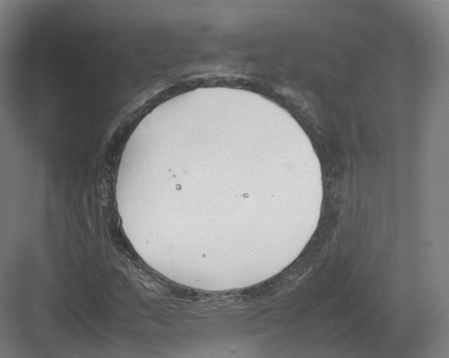 X0000082151159200702162201