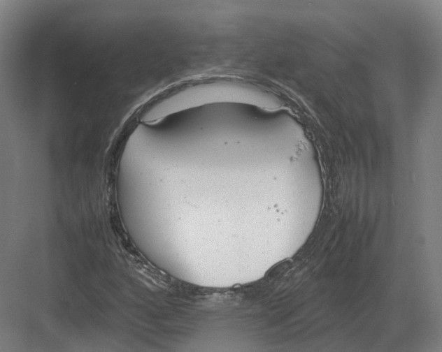 X0000082151160200702162201