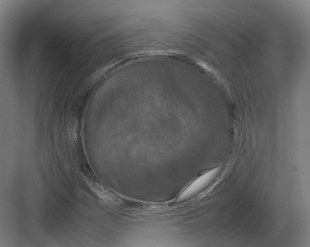 X0000082151161200702162201